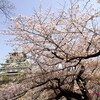 大阪城 西の丸庭園でお花見とバースデーいちご