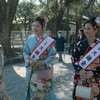 大潮と鎌倉の桜