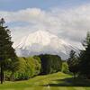 新しいスイングと飛距離の中で3回目の訪問｜フォレスト鳴沢ゴルフ＆カントリークラブ