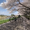 まだ間に合う、クロスバイクで楽しむお花見ライド in 県南方面