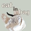 cat in bag