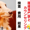 愛犬が手術②　腫瘍専門医とカウンセリング