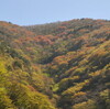 かわずの四方山話 ある日の遊山