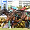 阪神Ｃで競走生活を終え、来年から豪州・ユーロンスタッドで種牡馬入りすることが決まる。☆ダイアトニック