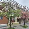 漢文市民講座　論語の「泰伯第八」に入りました