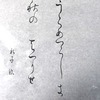 封筒に朝顔の種青と書き