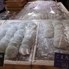 そごう横浜の北海道物産展