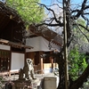 ⛩️乃木神社で初詣😊
