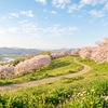 エラーと向き合うことが、プログラミング上達の近道だった