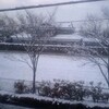 雪が降ったんだけど。。。