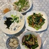 2024年11月 水餃子