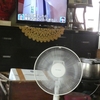 今日も30℃で遂に扇風機を出しました