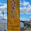 エミータ746／町全体が黄色くなる黄葉まつりへ行ったよ