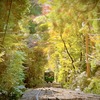 秋の筑波山2024！紅葉状況や見ごろ、渋滞情報&おすすめ駐車場は？