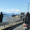 湘南ドライバー観察