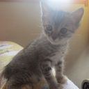 虹色空間から～