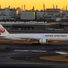 今年最初の東京、羽田空港出張撮影　②