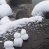 カミセン雪だるまin北海道