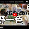 ぎふ町旅シリーズ第１４弾＠野一色：ここに来れば大丈夫！