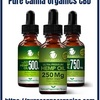 About Pure Canna Organics CBD May Shock You