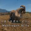 【FF14】 モンスター図鑑 No.185「ミオトラグス･ビリー(Myotragus Billy)」
