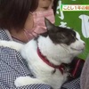 動物の健康願う「ガラン笹まつり」 熊本 山鹿