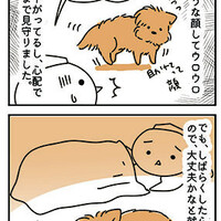 【犬漫画】体調不良が長引いて衝撃のお腹になったてんすけ