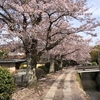 4月1２日　京都を観光する