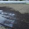 5月16日、田んぼの様子と曇りの空～♪