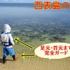 【スイムトレンカ】って履いたことありますか？水遊びのマストアイテムです