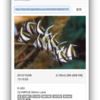ExifScopeで表示できる情報が増えました