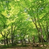 2017年5月の副業報告