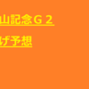 中山記念Ｇ２　逃げ馬予想＋絞って個人的に４頭立てのレース、ミルコ、ルメールは消せる！？