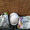 災害備蓄用に再びナイロン袋栽培した「じゃがいも」を収穫してみた結果w