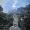 夏越しの大祓～✨
