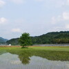 里山シリーズ７６湖南春の里山風景