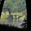 雨の小石川後楽園への旅②『内庭の蓮池～唐門』