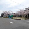 ＜写真＞阿久比町紹介シリーズ！宮津にある桜公園の桜