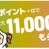 ライフメディアでマイナポイントを含めて最大１１０００円分還元！イオンカード発行と利用で誰でも出来る