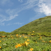 【秋田県仙北市】妊婦だけど山に登ってきた　その１【秋田駒ヶ岳】