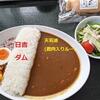 【道の駅・スプリングスひよし】ダムに行ったら、やっぱりダムカレー♡【京都の日吉ダム】