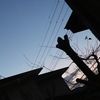 好きなものにかける大きなパワー