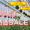 大特価セール☆トマトの誘引にパスカル社の「ローラーフック」