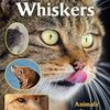 動物のヒゲの役割や働きを学べる自然科学系英語読本　SIRシリーズStep 2から『Whiskers: Animals' Super Sensors』のご紹介