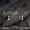 2953食目「旬の役魚 11月【ハマチ】」今が旬★　美味しくて＋栄養価が高くて＋安くて＝元気にしてくれる季節の魚介を紹介