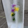 なかいちウィンターパークの氷柱花（秋田県秋田市）