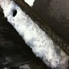 ちょっと遠いな。