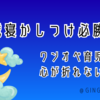 4歳寝かしつけ“必勝法”｜ワンオペ育児でも心が折れない方法