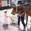 ２泊３日ハウステンボスの旅～３歳子連れ・動物触れ合い編～