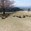 イースタ、勝利のひびき